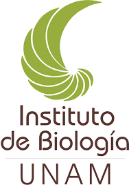 IB